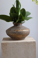 Eduardo Silica, biały storczyk w złotej donicy