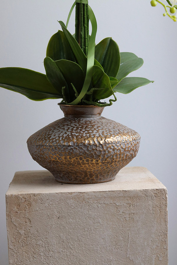 Eduardo Silica, biały storczyk w złotej donicy