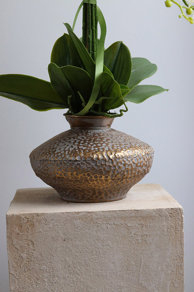 Eduardo Silica, biały storczyk w złotej donicy