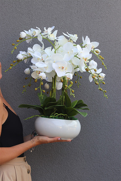 Inez White Piano, storczyk w białej donicy, wys.56cm 