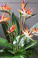 Strelicja Saute, sztuczna roślina do twojej donicy