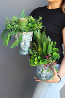 Kredina Twarzova 2, kompozycja Sukulenty w donicy z twarzą