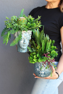 Kredina Twarzova 2, kompozycja Sukulenty w donicy z twarzą, wys.39cm 