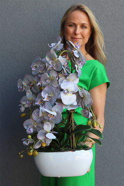 Ophelia Gerra, sinofioletowy storczyk w donicy glamour, wys.40cm 