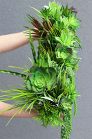 kompozycja sukulenty w długiej donicy, Suculentas Longia, wym.26x73cm