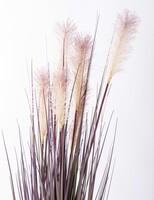 sztuczna trawa Pióropusze, róż, wys.120cm