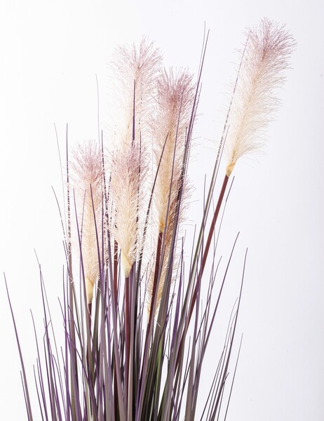 sztuczna trawa Pióropusze, róż, wys.120cm