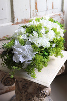 Jullista, biała kompozycja kwiatowa, wym.26x53cm 