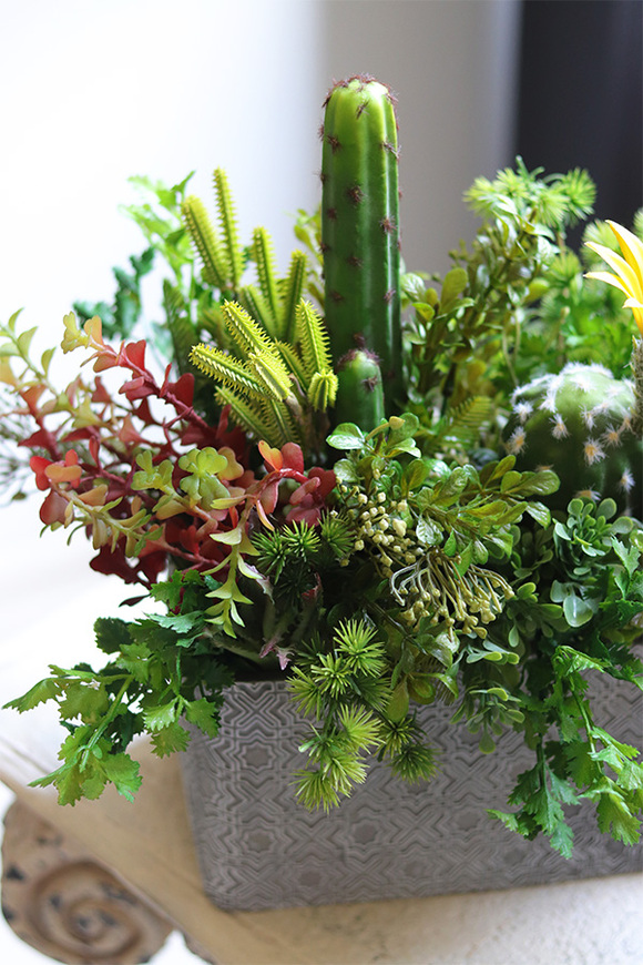 Green Neriata, sukulenty w prostokątnej donicy