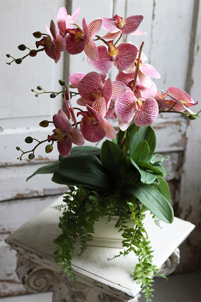 Klemina Granada, gumowy storczyk w ażurowej donicy, wys.58cm