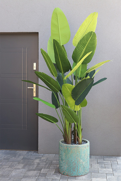 Andaluzja Bananowiec Hilton, wysokiej jakości sztuczne drzewo w donicy