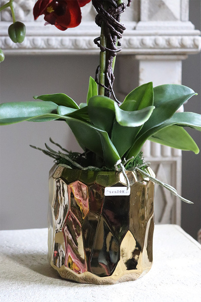 czerwony storczyk w złotej donicy, Mosierra Gold, wys.70cm