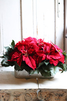 Gwiazda Betlejemska Longia, wysokiej jakości sztuczna roślina