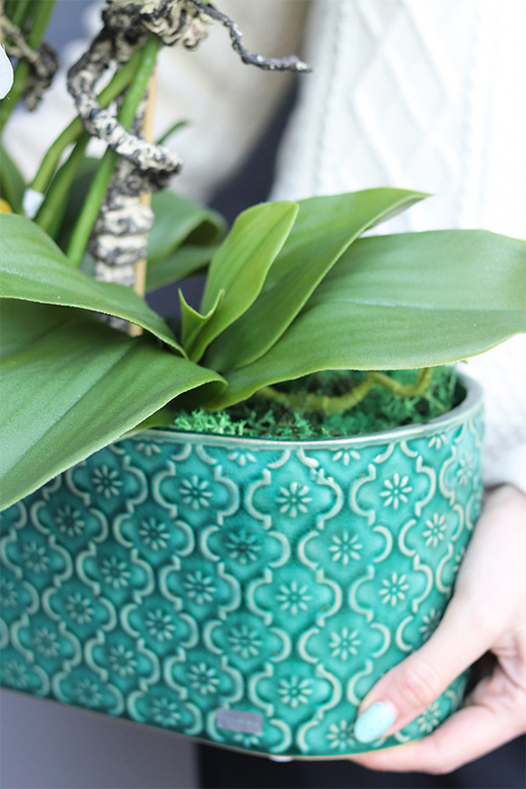 Dark Green Orient, wysokiej jakości sztuczny storczyk	