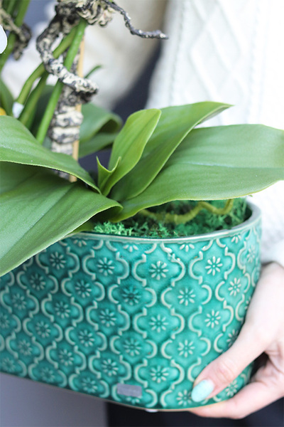 Dark Green Orient, wysokiej jakości sztuczny storczyk	