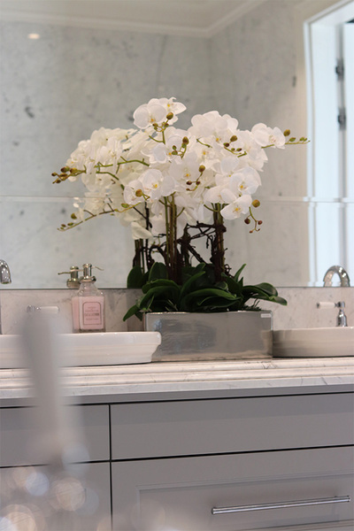 Infinity Eveline, storczyk w lustrzanej donicy