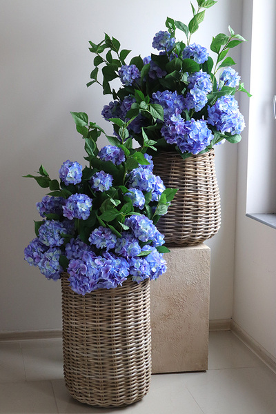 Blue Moon Basket, wiosenna kompozycja roślinna