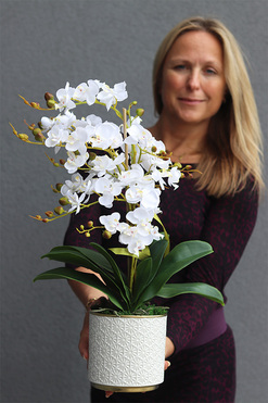 efektowny storczyk White Pearl 2, wys.54cm