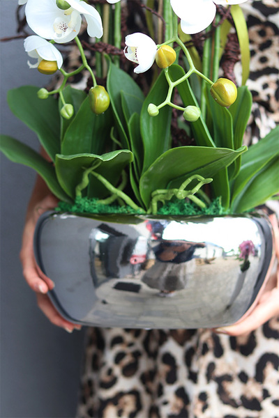 Silver Milenia sztuczny storczyk w lustrzanej donicy