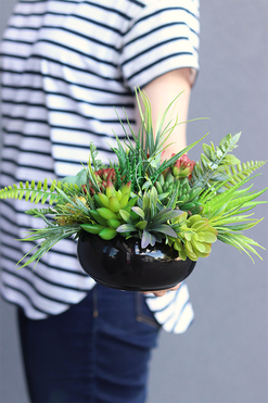 Zielony Dom, kompozycja sukulenty w okrągłej donicy, wym.22x33cm 