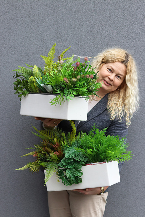 Anya Decory Sukulenty, zielona kompozycja w donicy