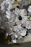 Japan Nuovo, sztuczny storczyk w czarnej misie