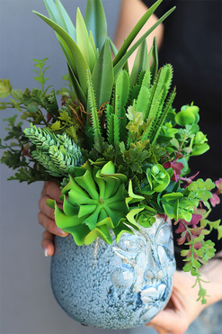 Kredina Twarzova 2, kompozycja Sukulenty w donicy z twarzą, wys.39cm 