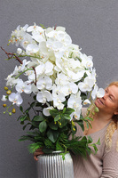 Hillton Silver Teruna, wysokiej jakości sztuczny storczyk