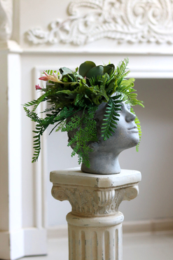 Tamara Head 2, kompozycja sukulenty w głowie, wys.24x32cm 