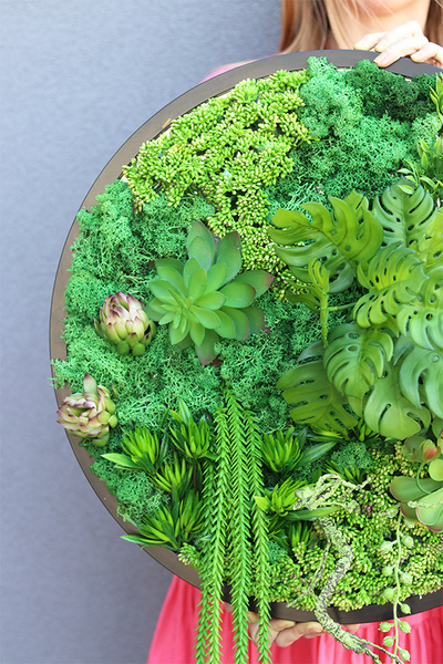 Green Stone Sukulenty, czarna jednostronna rama