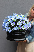 Letnie Kwiaty, kompozycja nagrobna w misie