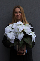 Gwiazda Betlejemska Morlano, wysokiej jakości sztuczna roślina