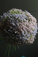 Kaszka Pastella, bukiet kwiatów