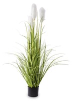 sztuczna trawa Pióropusze, biel, wys.122cm