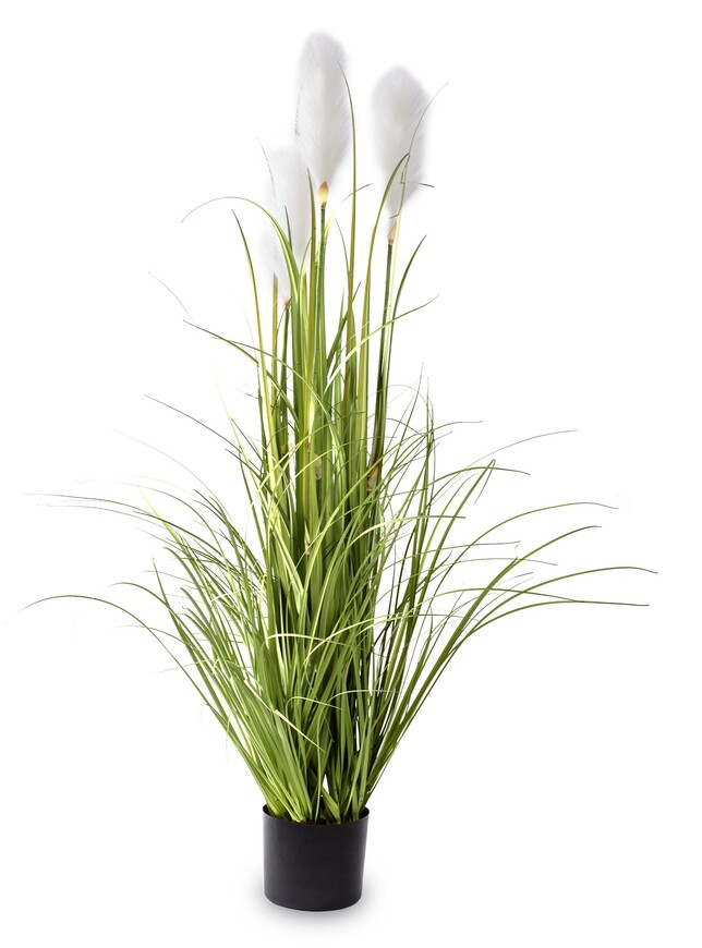sztuczna trawa Pióropusze, biel, wys.122cm