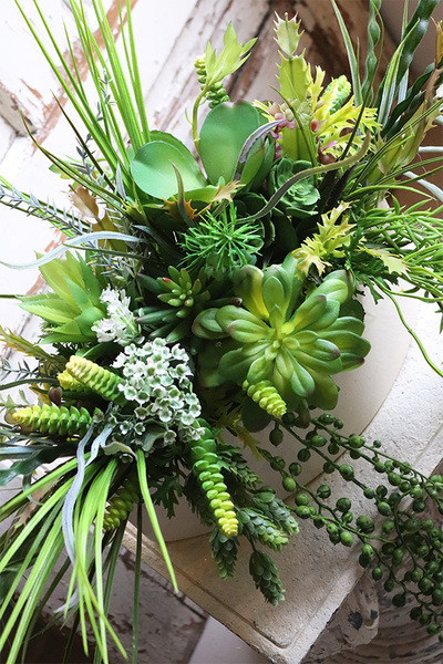 Gretada Manfredo, sukulenty w kremowej donicy