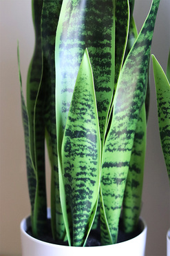 Sansewieria Simple, roślina sztuczna w donicy, wys.65cm 