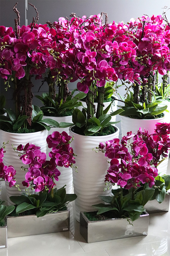 Gizelle Fuksja, wysoki sztuczny storczyk w białej donicy