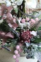 elegancki storczyk zimowy, Pudrovy Klimat, wys.66cm