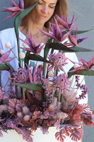 Violetera Fiberglass, sukulenty ze strelicjami w białej donicy