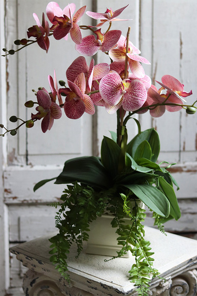 Klemina Granada, gumowy storczyk w ażurowej donicy, wys.58cm