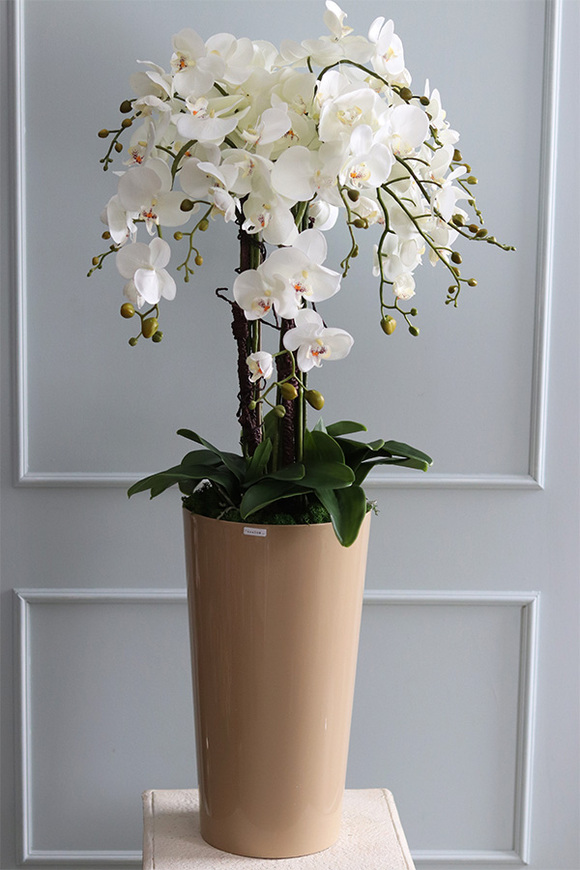 duży storczyk Mediolan Beige, wys.112cm