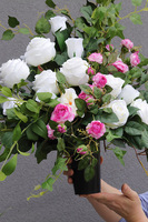 Serce Pełne Miłości 3, bukiet nagrobny we wkładzie do wazonu