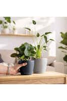 Classico, plastikowa donica z nawadnianiem