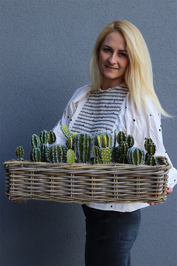 Cacti Rattan, kompozycja sukulenty w podłużnym koszu, wym.30x57cm 