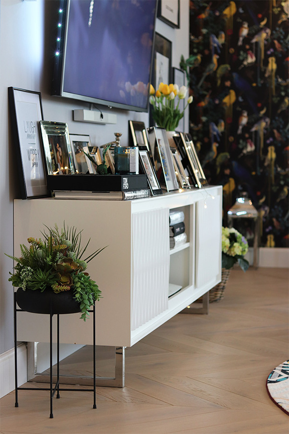 Aldara, kompozycja z sukulentami w donicy na stojaku, wys.64cm