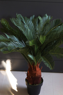 Cykas, sztuczna roślina w osłonce z tworzywa sztucznego, wys.100cm 