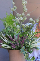 Lunedia, zielona kompozycja z trawami