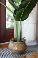 Bananowiec Eduardo, sztuczna roślina w donicy