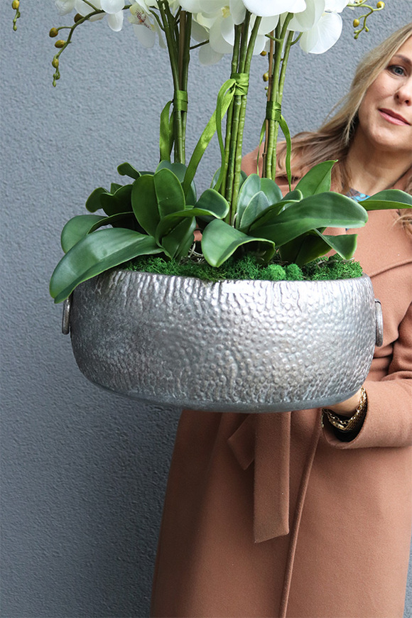 efektowny storczyk w metalowej misie, Ferrata Big 2